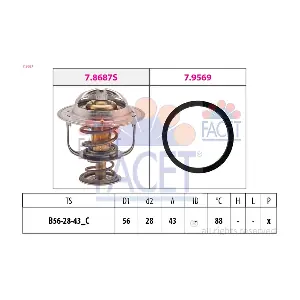 7.8687 FACET