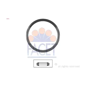 7.9606 FACET