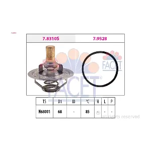 FACET 7.8310