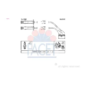 49446 FACET