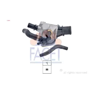 FACET 78676