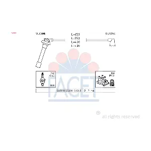 FACET 4.9699