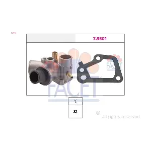 78176 FACET