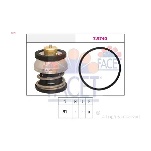7.7977 FACET