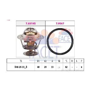 FACET 78319