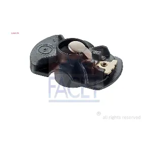 1431119 FACET