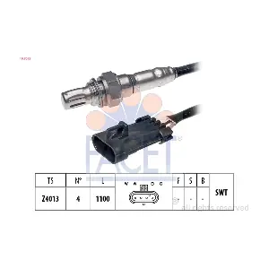 FACET 107073