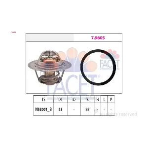 FACET 78312