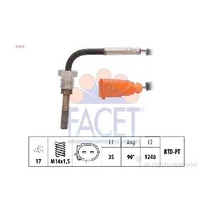 22.0061 FACET