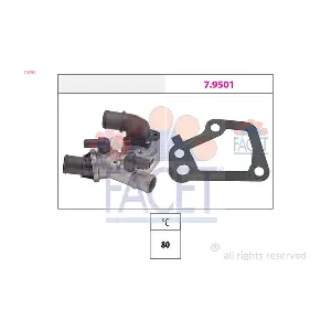 78096 FACET
