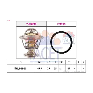 7.8389 FACET