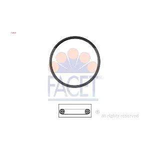 7.9561 FACET