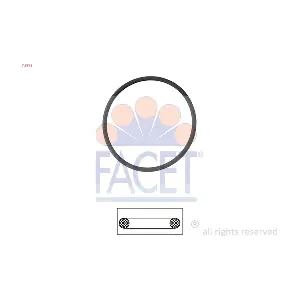 7.9575 FACET
