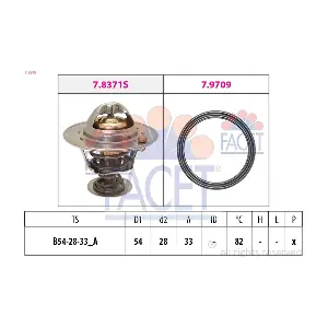 FACET 78845