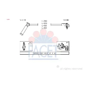 49619 FACET