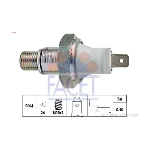 FACET 70119