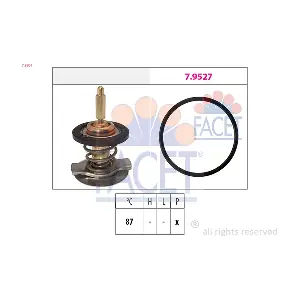 FACET 78807