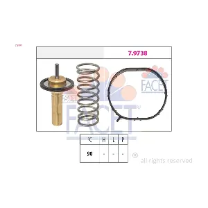 7.8974 FACET