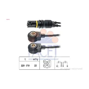 9.3120 FACET