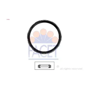 7.9722 FACET