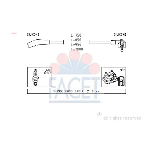 FACET 49639