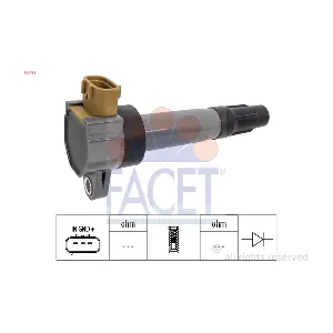 FACET 9.6453