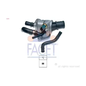 FACET 78675