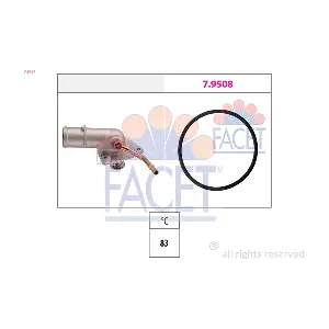 78164 FACET