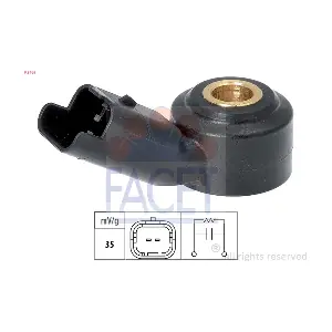 FACET 9.3165