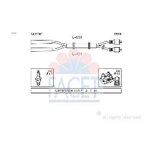 FACET 48432