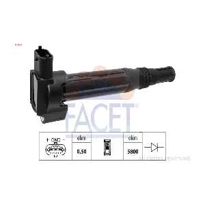 9.6509 FACET