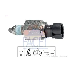 FACET 76196