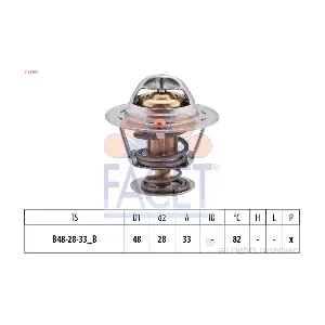 FACET 78319S