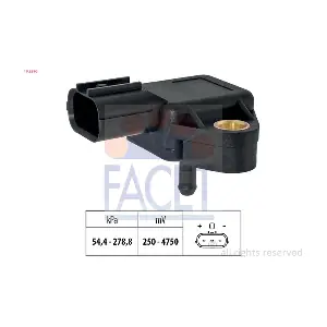 10.3396 FACET