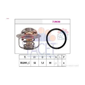 FACET 78554