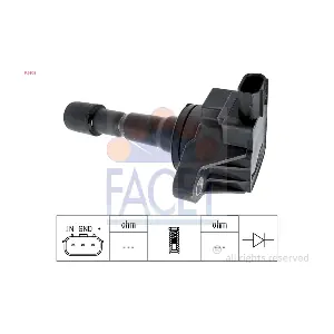 FACET 9.6503
