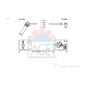FACET 4.9624
