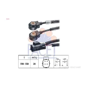 9.3130 FACET