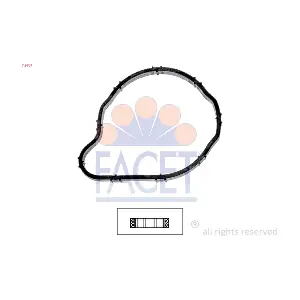 7.9704 FACET