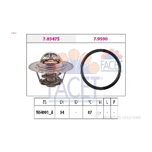 FACET 78547