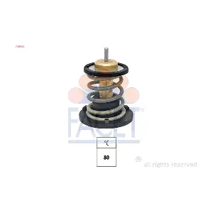 78965S FACET