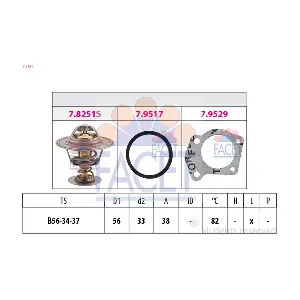 78251 FACET