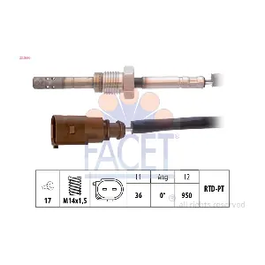 220256 FACET