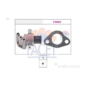 78105 FACET