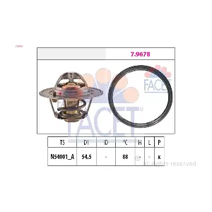 7.8787 FACET