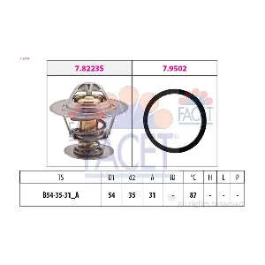 FACET 7.8278