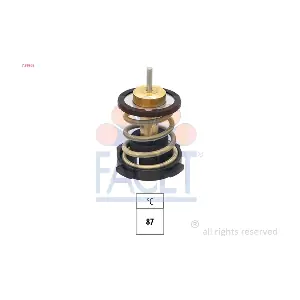 7.8956S FACET