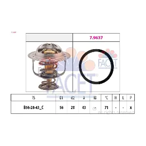 FACET 78650