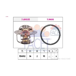7.8953 FACET