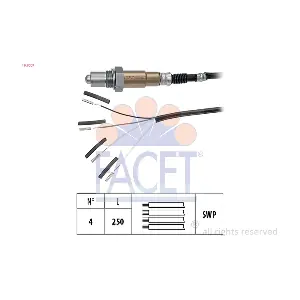FACET 107007